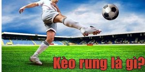 Kèo Rung Là Gì? Bạn Đã Biết Cách Chơi Kèo Rung Hiệu Quả Chưa?