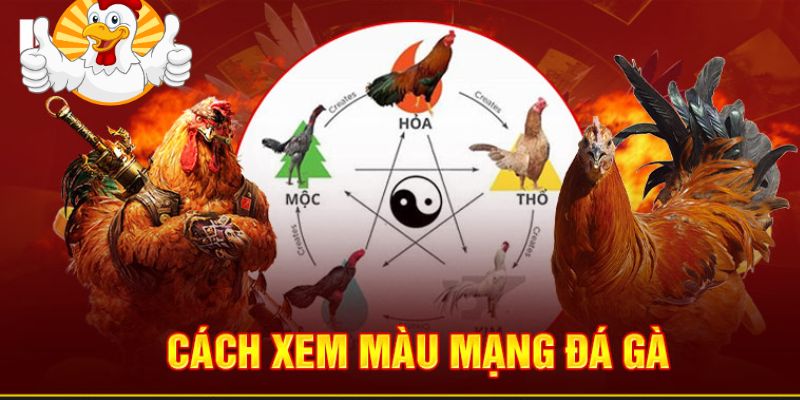 Các loại màu mạng nổi bật nhất của game đá gà